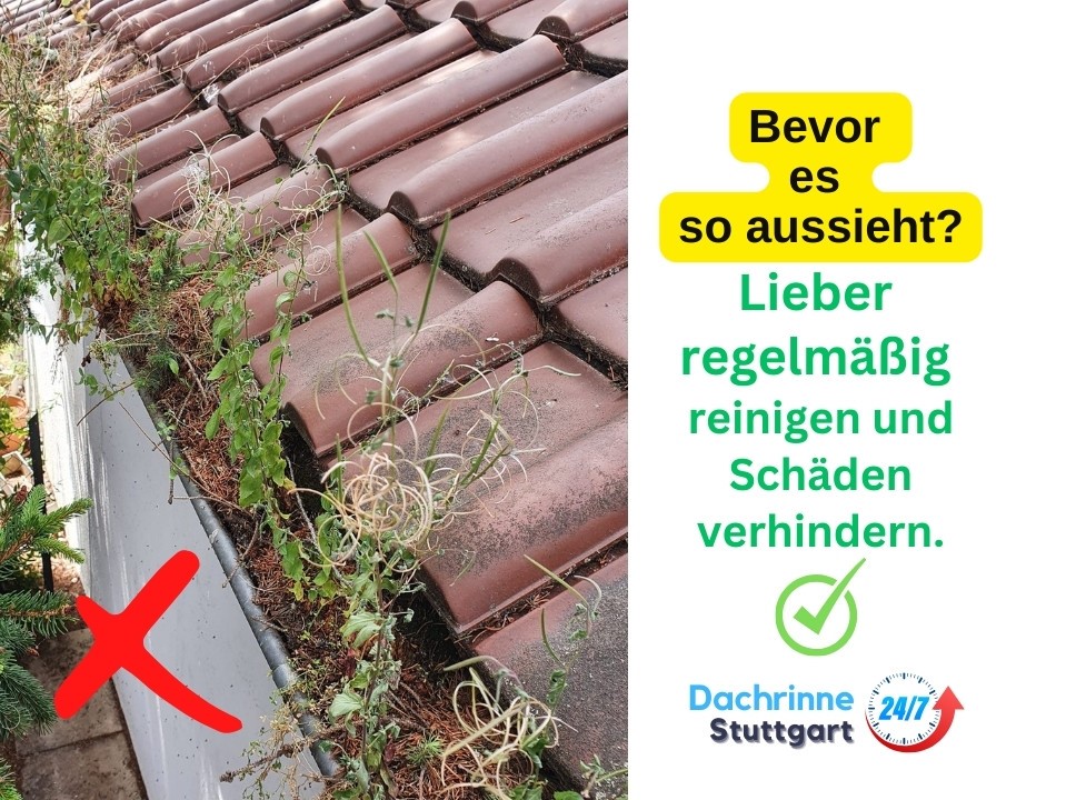 DachrinneReinigenStuttgart